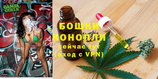 скорость Пестово