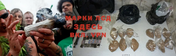 скорость Пестово