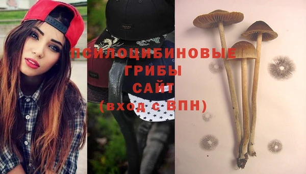 метадон Пересвет